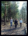 /album/seance-1-2-3-nous-irons-au-bois/p1070786-jpg/