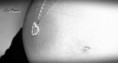 /album/seance-grossesse-/img-3648-jpg/