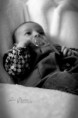 /album/leana/img-3876-jpg/