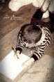 /album/seance-/img-4995-jpg/
