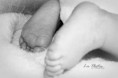 /album/laure-liyam-/img-6044-jpg/