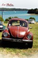 /album/celti-cox/img-7344-jpg/