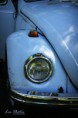 /album/celti-cox/img-7364-jpg/