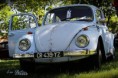 /album/celti-cox/img-7365-jpg/