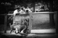 /album/seance-1-1-3/img-8206-3-jpg/