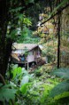 /album/voyage-au-pays-du-sourire-/img-0117-jpg/