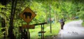 /album/voyage-au-pays-du-sourire-/img-0249-jpg/